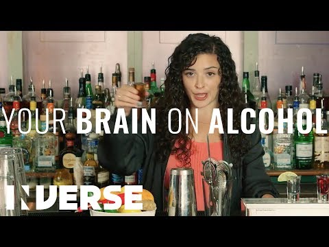 A Scientist Explains What Alcohol Does to Your Brain | Inverse - UCEA0LA7k6hwZM-xocspYQjQ