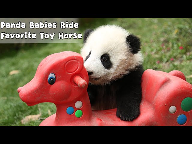 Panda Rocking Musical Horse: The New Must-Have Toy