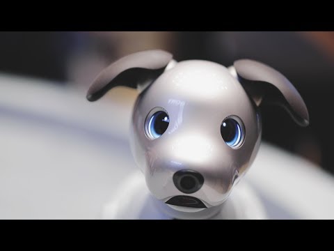 Sony’s adorable new Aibo comes to the US - UCCjyq_K1Xwfg8Lndy7lKMpA