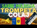 COLAJ SRBE EXTRA  20 DE PRIMVERI & FA MARIE CU BARIZ  MUZIC MOLDOVENEASC DE PETRECERE TROMPETA