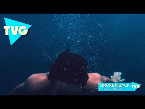 Broken Back - Halcyon Birds - UCxH0sQJKG6Aq9-vFIPnDZ2A
