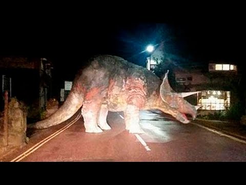 10 DINOSAURS CAUGHT ON CAMERA IN REAL LIFE - UCYenDLnIHsoqQ6smwKXQ7Hg