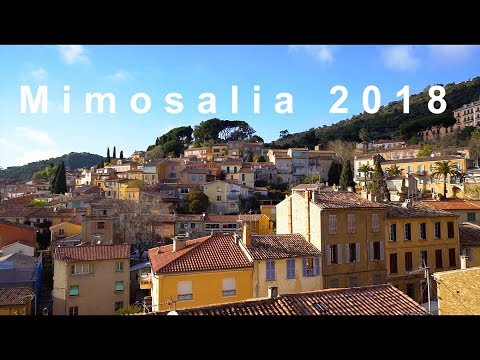 Mimosalia 2018 - Bormes-les-Mimosas [Sony A7RIII] - UCZmIbls0bS0nfIb02Tj2khA