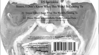 DJ Sprinkles -  Grand Central, Pt. I (Deep Into The Bowel Of House) (MCDE Raw Mix)