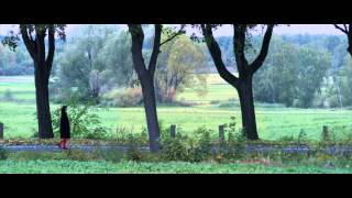 Madsen - Love Is a Killer (Videoclip) ft. Walter Schrefels