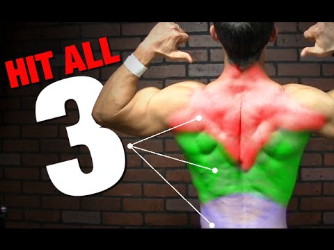 Bodyweight Back Workout (NO PULLUP BAR!) - UCe0TLA0EsQbE-MjuHXevj2A