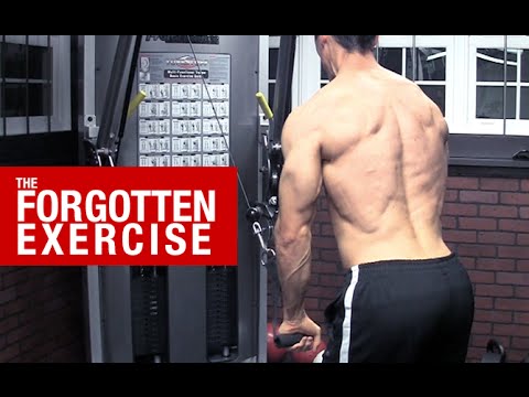 The Forgotten Back Exercise (UNLOCK HIDDEN STRENGTH!) - UCe0TLA0EsQbE-MjuHXevj2A