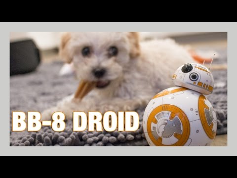 Sphero BB-8 Droid unboxing + Puppy review - UCey_c7U86mJGz1VJWH5CYPA