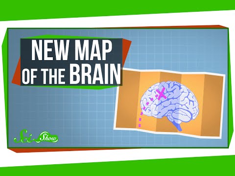 A New Map of the Human Brain! - UCZYTClx2T1of7BRZ86-8fow