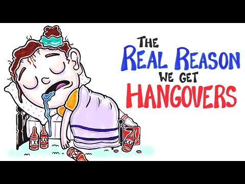 What causes a Hangover? - UCC552Sd-3nyi_tk2BudLUzA