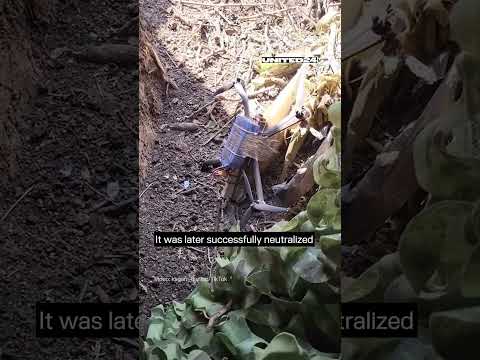 Ukrainian Soldier Finds Russian FPV Drone in His Trench #warinukraine - UCX-xHRN9CnoXto5gcPskANA