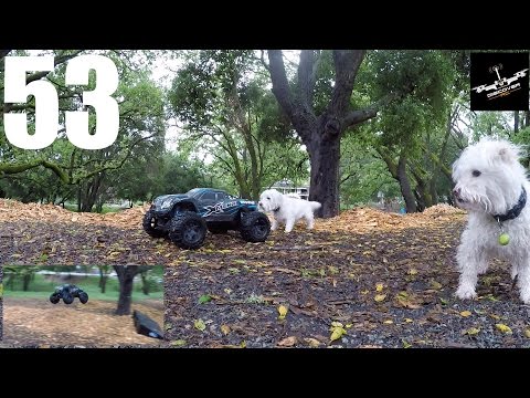 VLOG 53 | Park Hooligans | 8S X-Maxx Bash | Shredding Tires - UCKqpeIILaupg-SvrIstn-yA