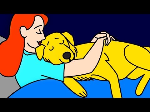 11 Proven Ways Dogs Say "I Love You" - UC4rlAVgAK0SGk-yTfe48Qpw
