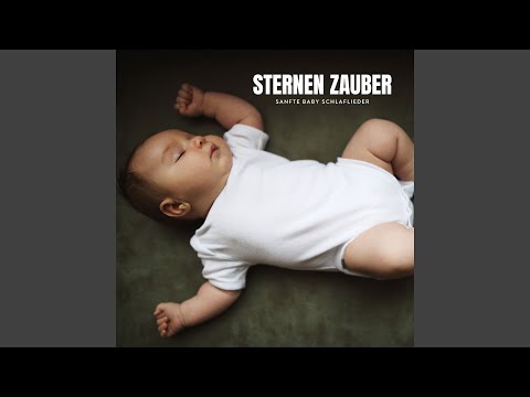 Mondlicht Wiesen Melodien