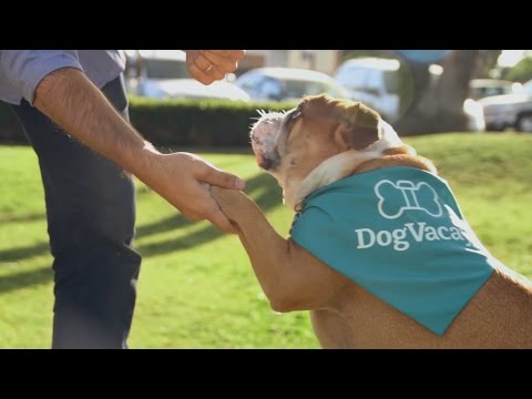 DogVacay is the Airbnb of animal care - Small Empires S. 3 Ep. 6 - UCddiUEpeqJcYeBxX1IVBKvQ