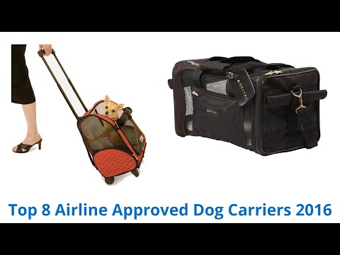 8 Best Airline Approved Dog Carriers 2015 - UCXAHpX2xDhmjqtA-ANgsGmw