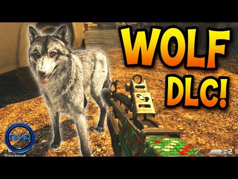 Call of Duty GHOSTS - "WOLF" Gameplay LIVE! - UCYVinkwSX7szARULgYpvhLw