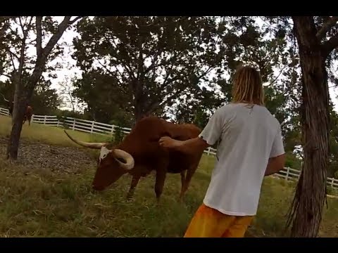 Failed attempt at putting GoPro on longhorn! - UCTs-d2DgyuJVRICivxe2Ktg