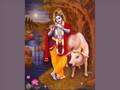 Krishna nee begane baro