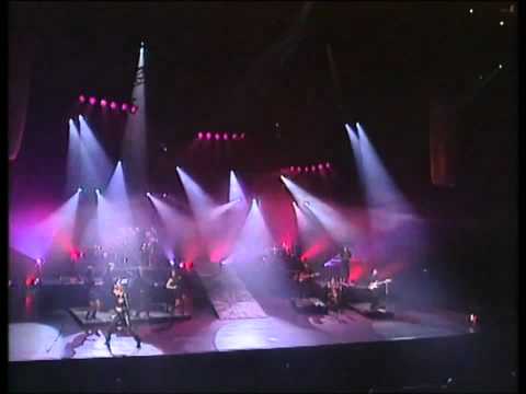 Celine Dion - Destin (Live a Paris)