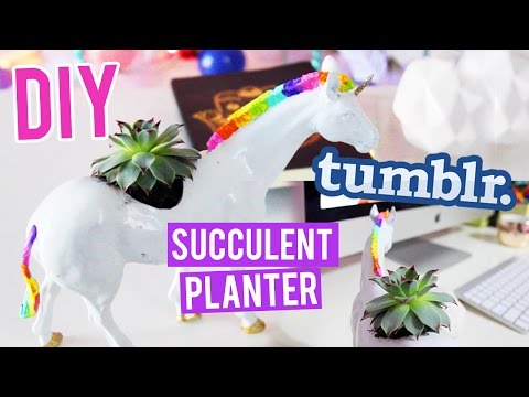 DIY UNICORN Succulent Planter TUMBLR Style! - UC6gqv2Naj9JiowZgHfPstmg