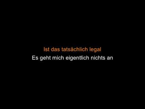 die ärzte - Meine Freunde [Karaoke]