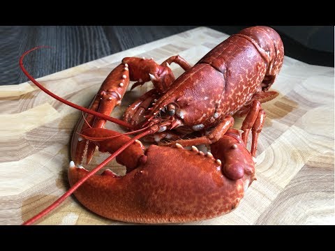 How To Cook Lobster - How To Cook and Prepare a Live Lobster