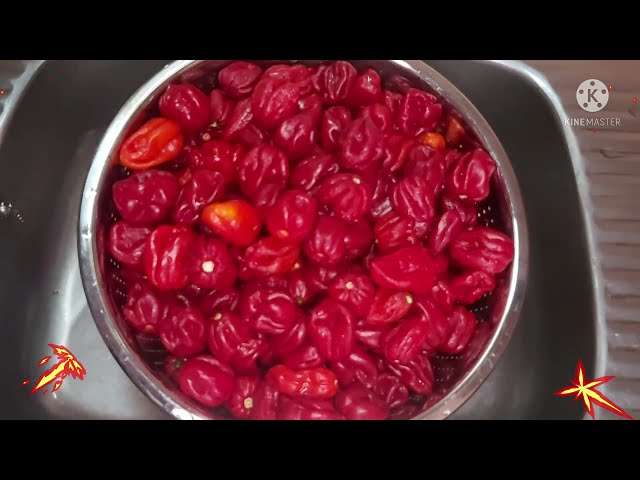 How to Preserve Scotch Bonnet Peppers