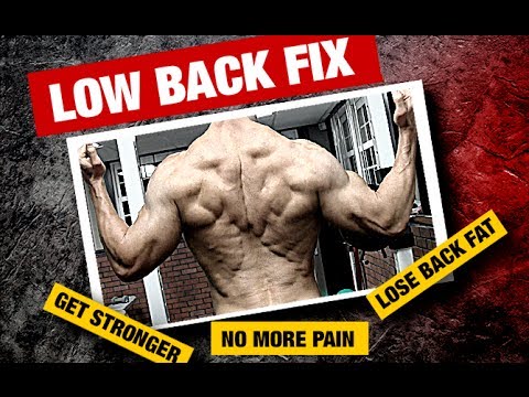 Get Rid of LOWER BACK FAT and PAIN (Must Watch for Men!) - UCe0TLA0EsQbE-MjuHXevj2A