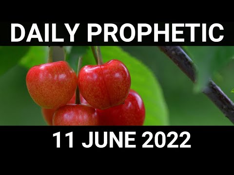 Daily Prophetic Word 11 June 2022 1 of 4