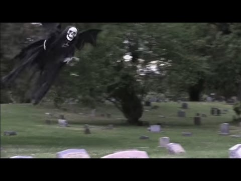 The 404 - 1,574: Halloween episode, Seth Rogen as Steve Wozniak? Starbuck delivery - UCOmcA3f_RrH6b9NmcNa4tdg