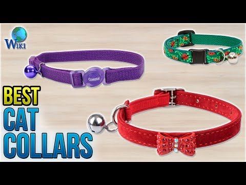 10 Best Cat Collars 2018 - UCXAHpX2xDhmjqtA-ANgsGmw