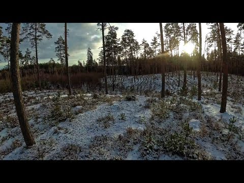 First snow! (quadcopter FPV 2017) - UC8e53kp9qfLKPBHu4C7AiYQ
