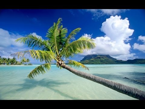 Beautiful IBIZA Summer Chill Out Beach Lounge Mix Del Mar - UCqglgyk8g84CMLzPuZpzxhQ