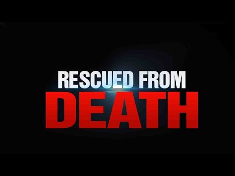 Striking Testimony: Rescued from Death