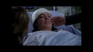 The Story - Grey's Anatomy - Callie (Sara Ramirez)