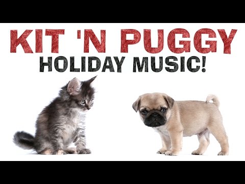 Holiday Music - Mariah Carey - Kit 'N Puggy - UCPIvT-zcQl2H0vabdXJGcpg