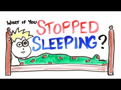 What If You Stopped Sleeping? - UCC552Sd-3nyi_tk2BudLUzA
