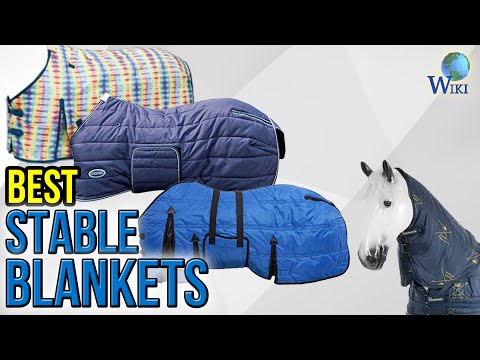 6 Best Stable Blankets 2017 - UCXAHpX2xDhmjqtA-ANgsGmw