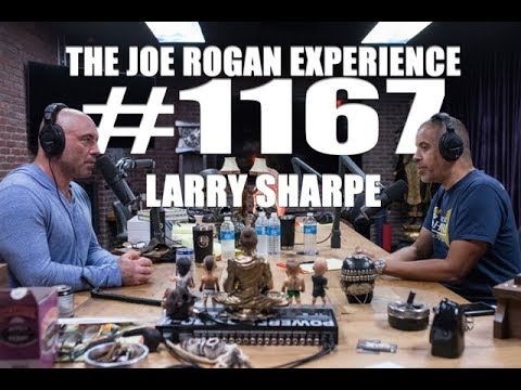 Joe Rogan Experience #1167 - Larry Sharpe - UCzQUP1qoWDoEbmsQxvdjxgQ