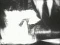 Dementia 13 (1963)
