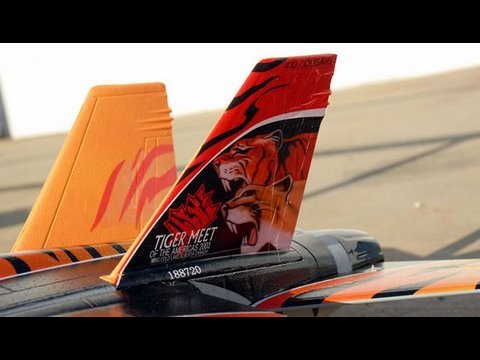 2 Cold Minutes with the Exceed Tiger F-18! - UCvPYY0HFGNha0BEY9up4xXw