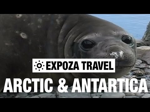 Arctic & Antartica Vacation Travel Video Guide - UC3o_gaqvLoPSRVMc2GmkDrg