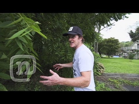 Rare Air with Van Homan: Crooked World BMX - UCsert8exifX1uUnqaoY3dqA