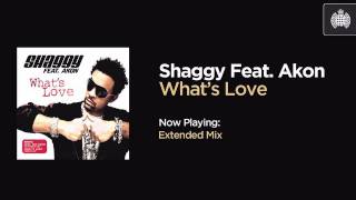 Shaggy Feat. Akon - What's Love (Extended Mix)