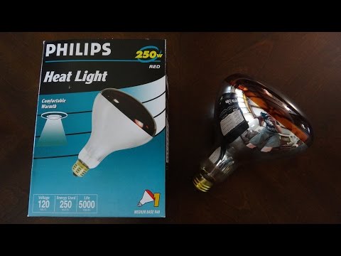 Philips 250watt Red Heat Lamp Light Bulb - UChmokYlP8OGQuCweupBznDg