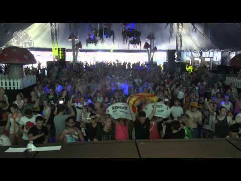 Tomorrowland 2013 - Markus Schulz - UCsN8M73DMWa8SPp5o_0IAQQ