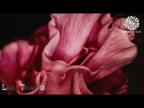 Mohamed Bahi - Everlasting Memory (Original Mix) [Spreaz] ►Video Edit ♛ - UC5fN-mmgElKGyoydNeUy8Ww