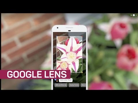 Google Lens is smart enough to identify flower species - UCOmcA3f_RrH6b9NmcNa4tdg