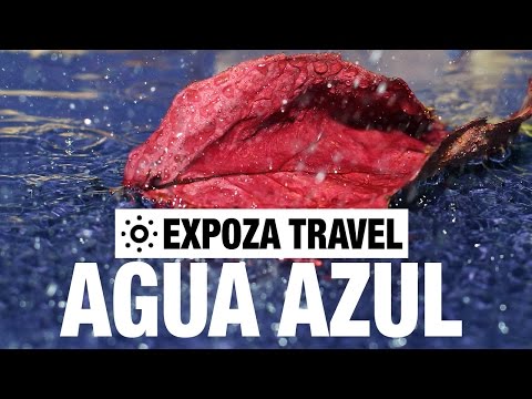 Agua Azul Vacation Travel Video Guide - UC3o_gaqvLoPSRVMc2GmkDrg